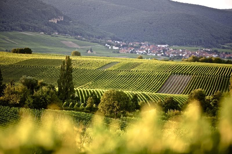 Landentwicklung in Rheinland-Pfalz