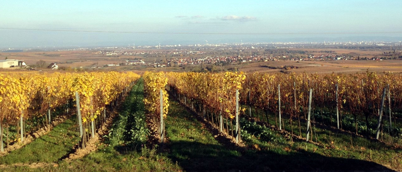 VTG Rheinland-Pfalz